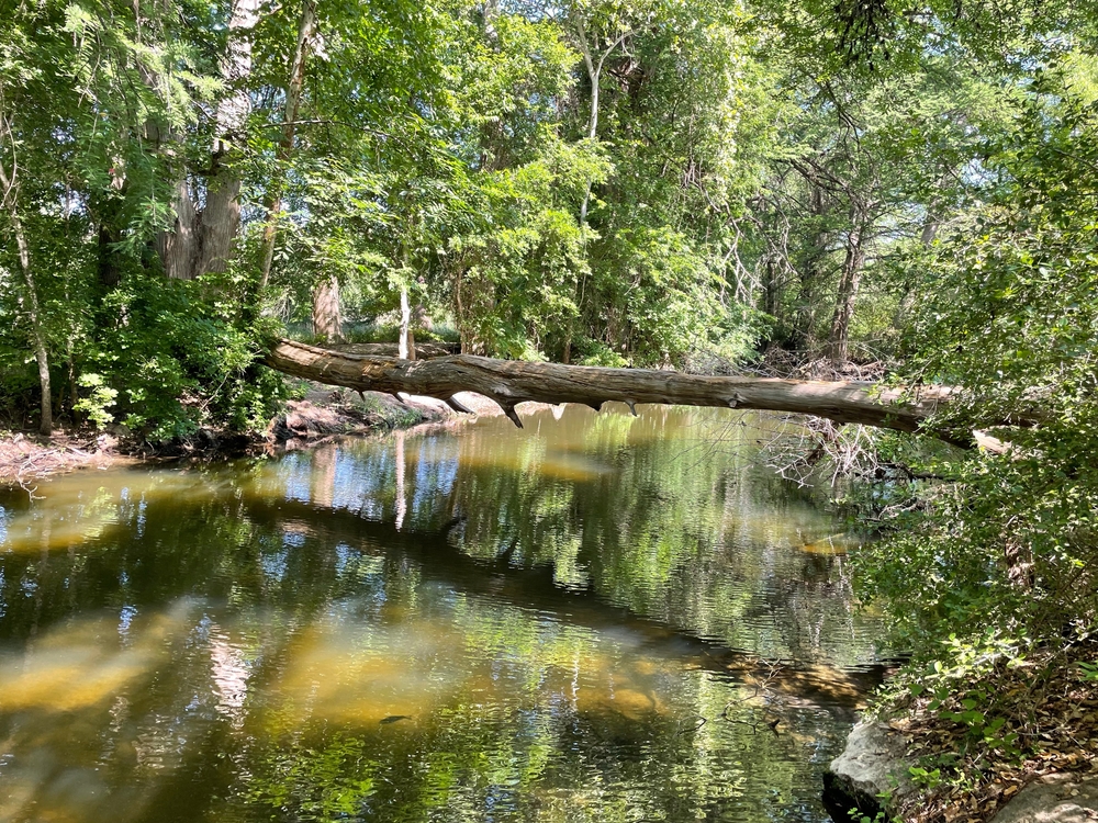 Vitruvian Park - Ordonez Movers