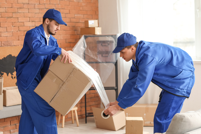 Ordonez Movers Sealing Box